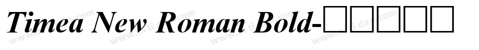 Timea New Roman Bold字体转换